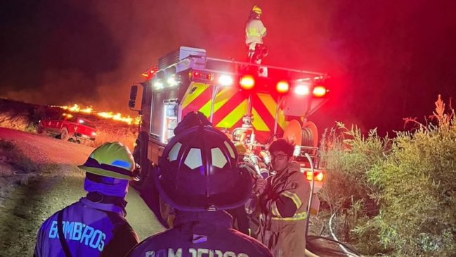 Alerta roja en Chiguayante por incendio que amenaza al Parque Nacional Nonguén