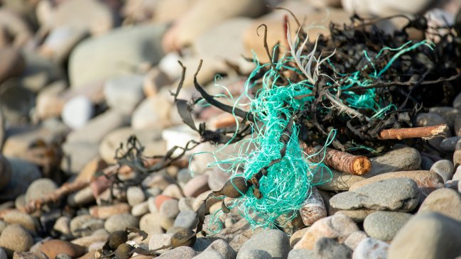 Expertos chinos diseñan esponja biodegradable que depura 99,8 % de microplásticos del agua