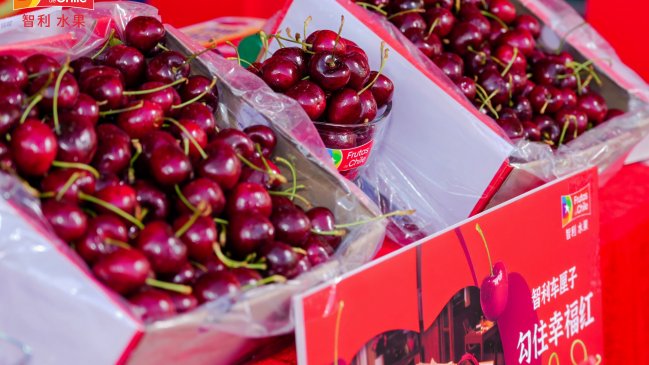 China recibió el primer Cherry Express con 4.500 toneladas de cerezas frescas