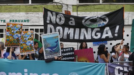   Dominga: ¿Debe el Gobierno apelar el fallo ambiental? 