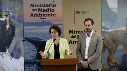   Proyecto Dominga: ¿Quiénes integran el Comité de Ministros? 