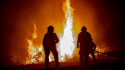 Conaf e incendios forestales de diciembre: 