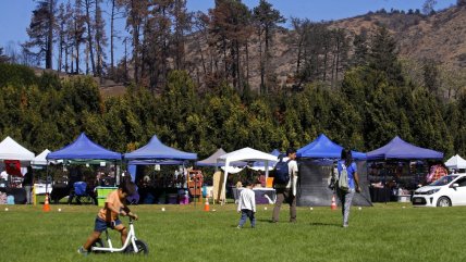   Jardín Botánico de Viña celebra nuevos avances en su reconstrucción 