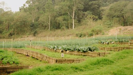   Honduras suscribió con China un convenio para la construcción de escuelas agrícolas 