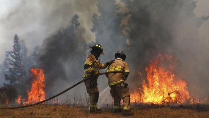   Balance Senapred: Tres incendios forestales en combate a nivel nacional 