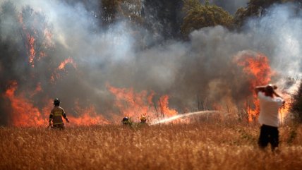 Por incendio forestal, Senapred ordena evacuar parcelaciones en Padre Hurtado