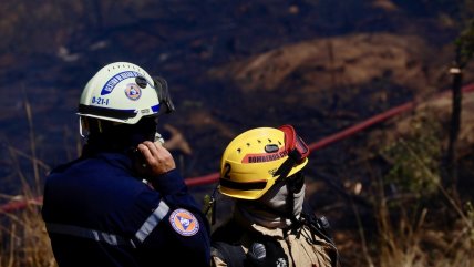 Curanilahue: Encapuchado armado asaltó a brigadistas que combatían incendio