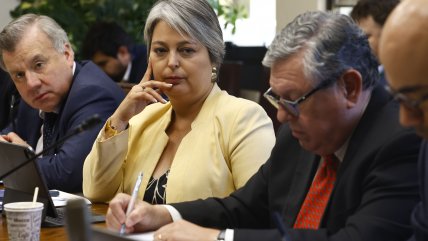 Ministra Jara: Acuerdo en reforma previsional no está 