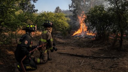 Se mantiene alera roja en Los Álamos: Incendio forestal ha consumido 500 hectáreas