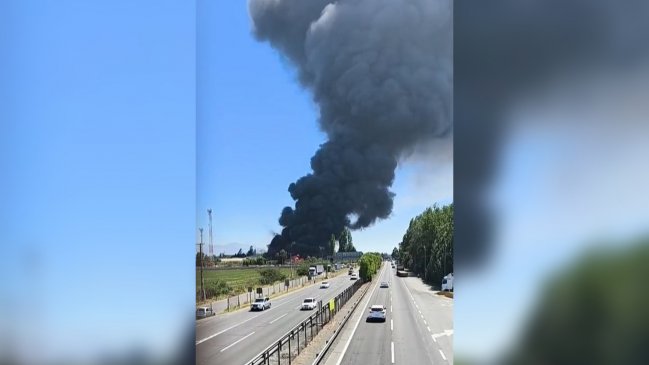 Gran incendio afecta a empresa frutícola en Requínoa