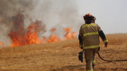  Alertas rojas para Colina y Tiltil por avance de incendios forestales  