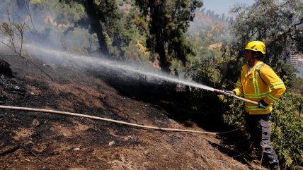   Conaf: Ha habido un 24% más de incendios que la temporada pasada 