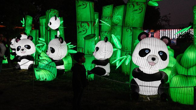 Los hitos de la relación entre China y Chile este 2024