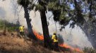 Gobierno remarca: "Causar un incendio intencional es equivalente a portar un arma"