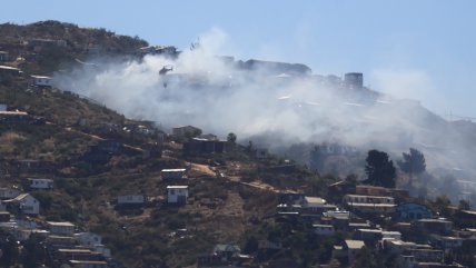 Bomberos y Conaf controlaron incendio en Valparaíso