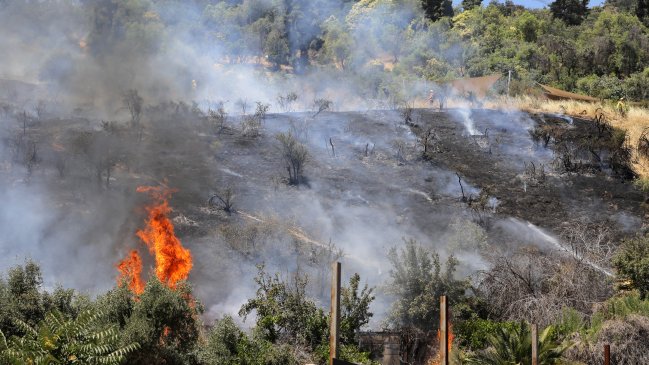 Gobierno urge al Congreso a despachar la ley de incendios