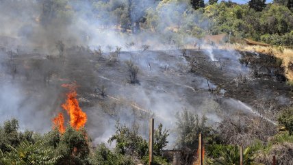   Gobierno urge al Congreso a despachar la ley de incendios 