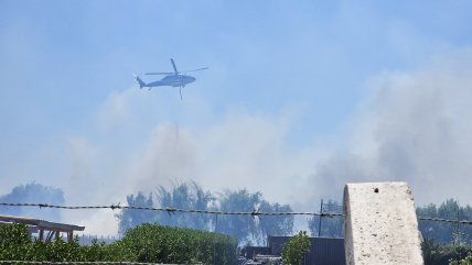   Incendio forestal obliga a decretar alerta roja en Talagante 