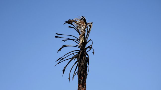 California enfrenta un nuevo incendio en plena alerta por fuertes vientos