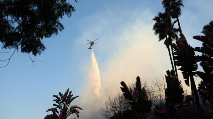 Los incendios en California comienzan a ceder, mientras autoridades combaten los saqueos