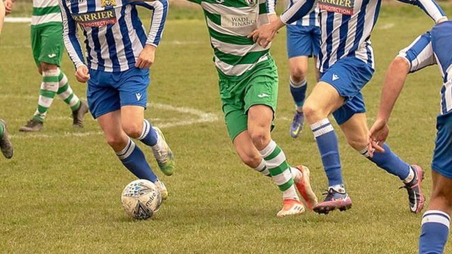 Suspenden partido en Inglaterra por exceso de excrementos de ganso en el césped