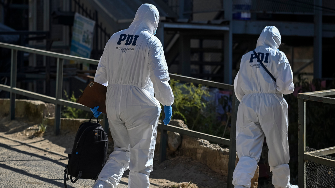 Estaba alimentando a perros callejeros: Adulto mayor fue asesinado en Viña del Mar