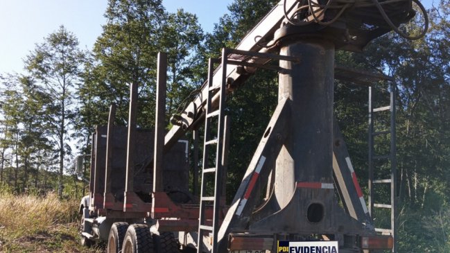 Ocho detenidos por robo de madera a empresas forestales en Toltén