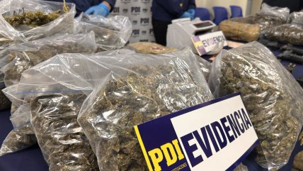  Desbaratan banda criminal transnacional dedicada al tráfico de drogas  