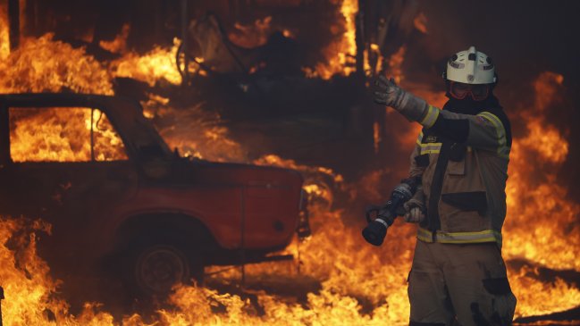 Amenaza a viviendas: Incendio forestal en Purén obliga a decretar alerta roja