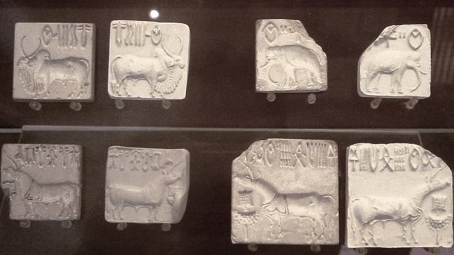 India: Ofrecen un millón de dólares a quien descifre escritura de hace 5.300 años