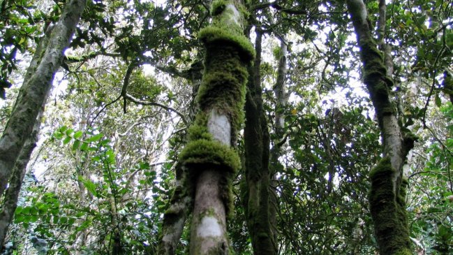 Parques y reservas nacionales cerrarán por pronóstico de altas temperaturas