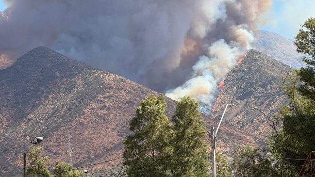 Incendio forestal en Tiltil: Reportan más de 200 hectáreas afectadas