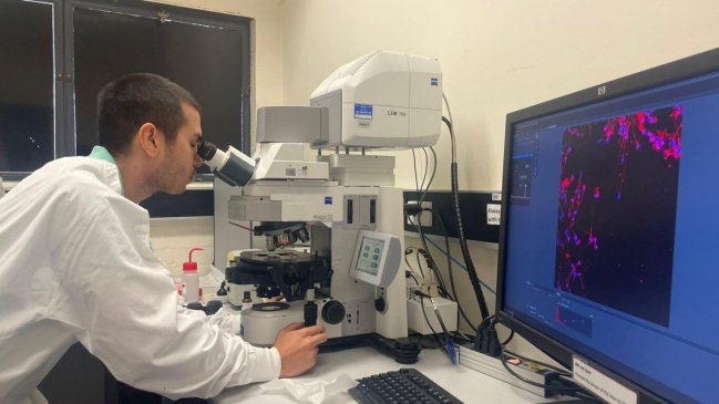 Científicos crean embrión de canguro 