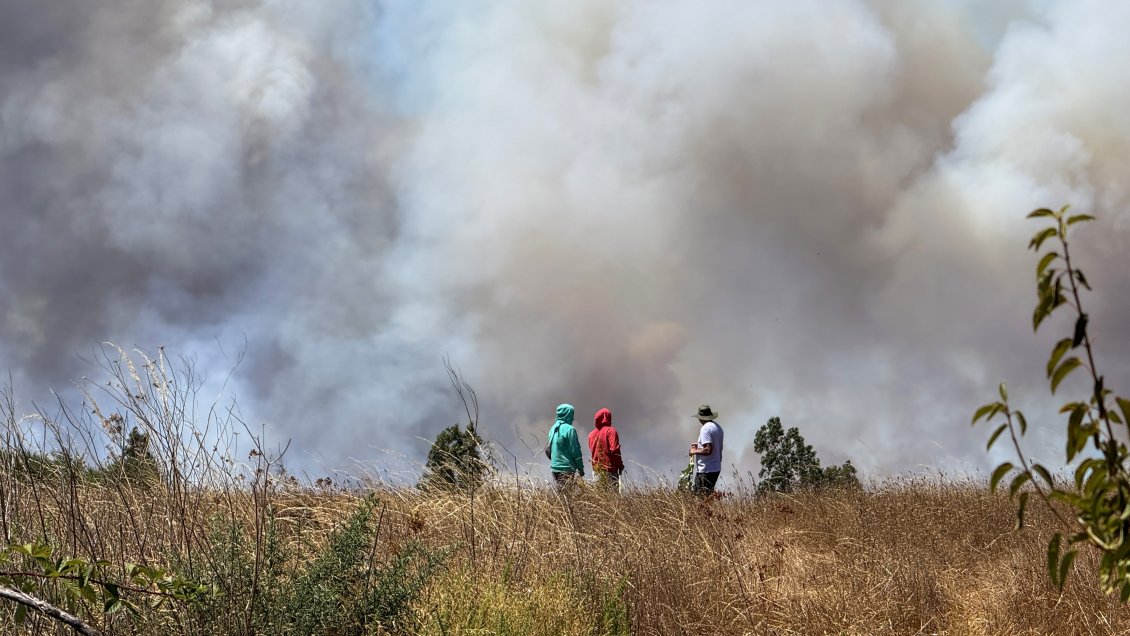 Incendios en La Araucanía: 