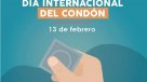   Día Internacional del Condón: Chilenos cuentan por qué lo usan 