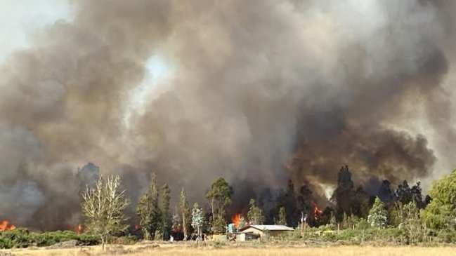 Pitrufquén bajo alerta roja por incendio forestal 