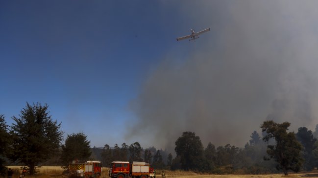Incendios forestales: Mantienen toque de queda para seis comunas en La Araucanía