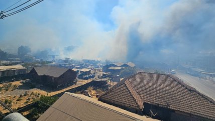 Bomberos controlaron cuatro focos de incendio que generaron emergencia en Peñaflor