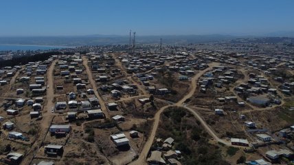  Experto sobre megatoma: 