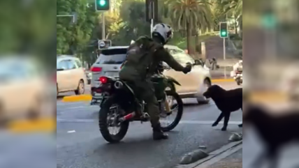  Carabinero fue captado rociando con spray a perro que le ladraba 