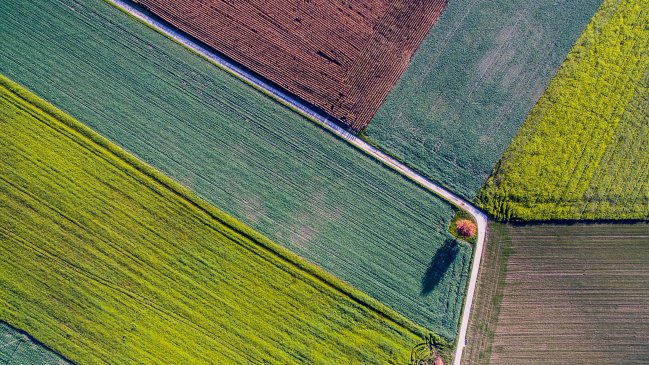 China anuncia un plan para impulsar el desarrollo de tierras agrícolas de 