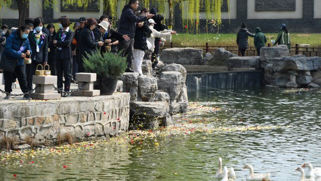 China pronostica aumento de 21% en viajes transfronterizos durante vacaciones de Festival Qingming