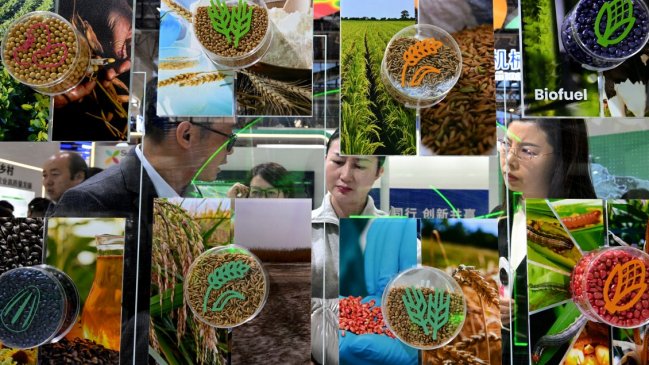 China lanza este mes en Chile la tercera exposición sobre cadena de suministro