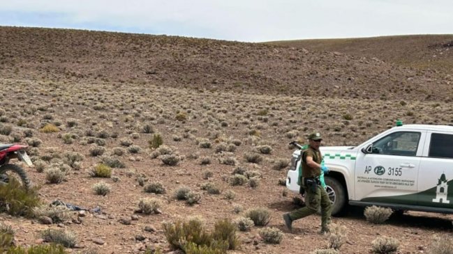 Carabineros detuvo a cazador de vicuñas en Ollagüe