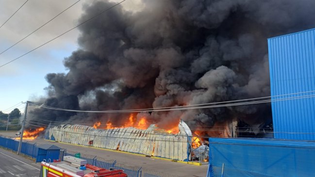 Bomberos combate gigantesco incendio en bodega de colchones en Paine