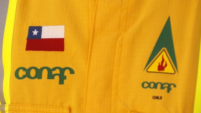 Fin de Conaf: Congreso despachó creación del Servicio Nacional Forestal