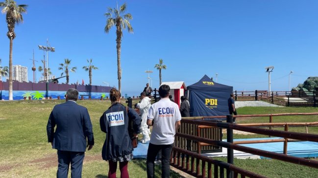 Cadáver con 50 estocadas y degollado apareció en la Playa Cavancha de Iquique