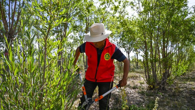 Innovador sistema de cuentas de carbono gana terreno en la región china de Xizang
