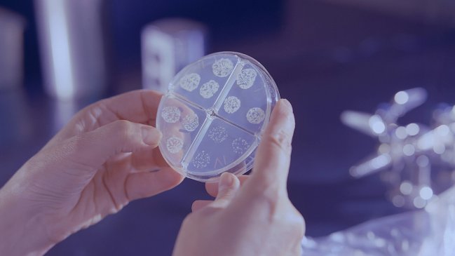 Científicos chinos identifican nueva cepa bacteriana en la estación espacial Tiangong