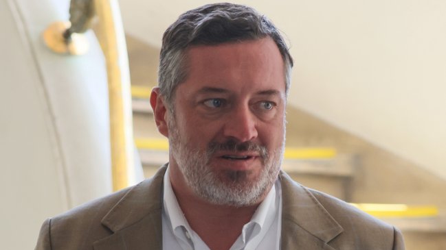 Sichel: Es bananero discutir límites al voto extranjero en un año electoral